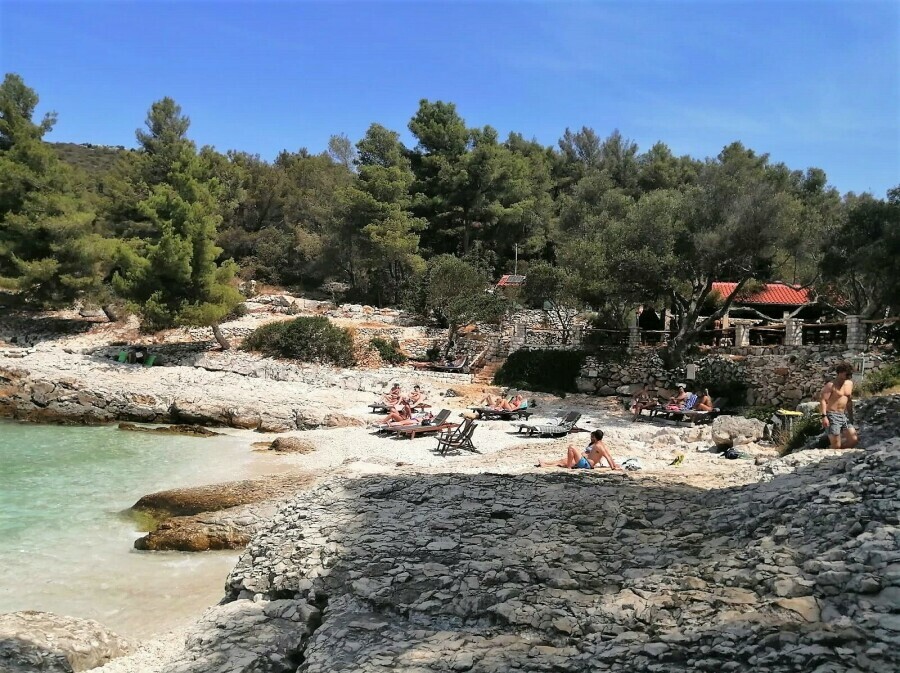 Mekićevica - 3