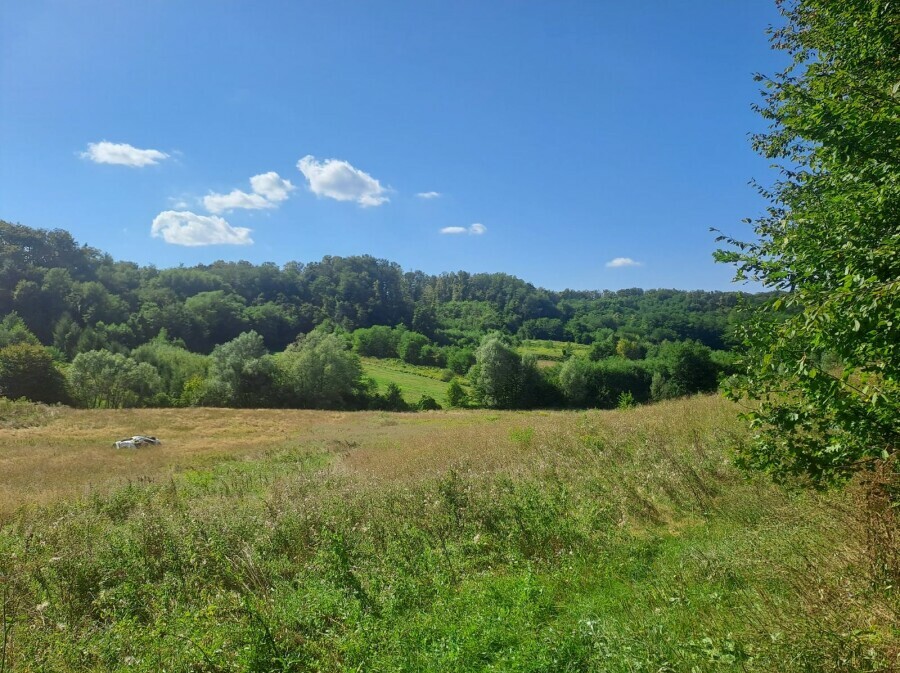 Turopoljska trail utrka Ključić brdo - 1