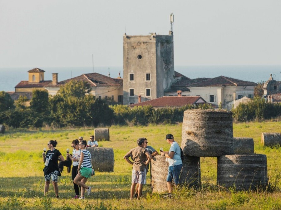 Istria Wine&Walk - 1