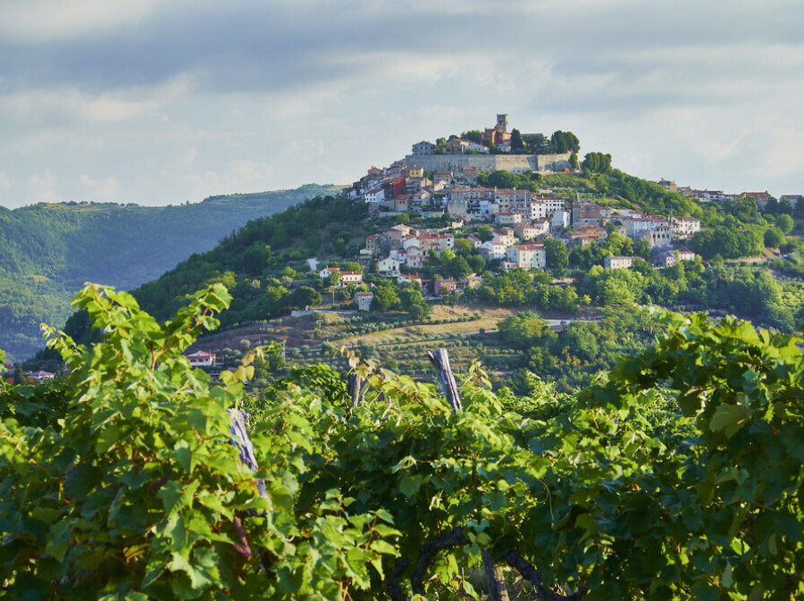 Motovun