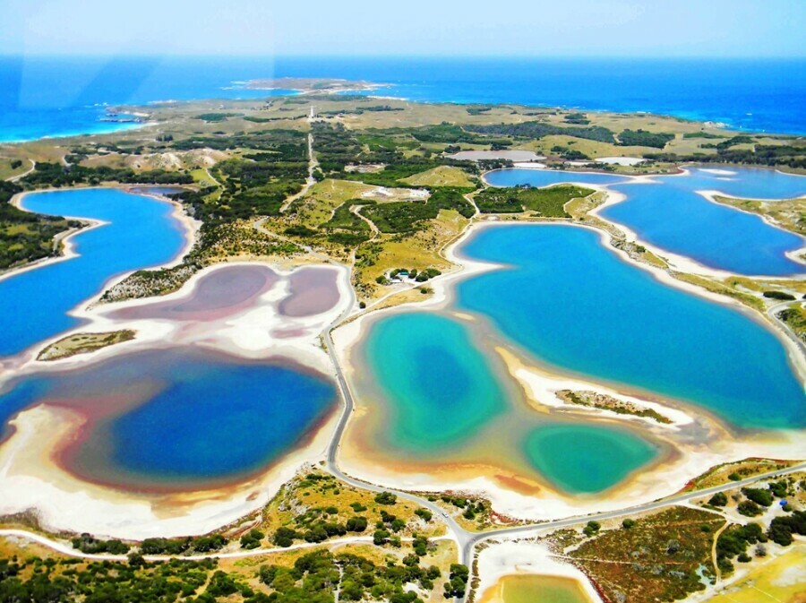 Rottnest - 5