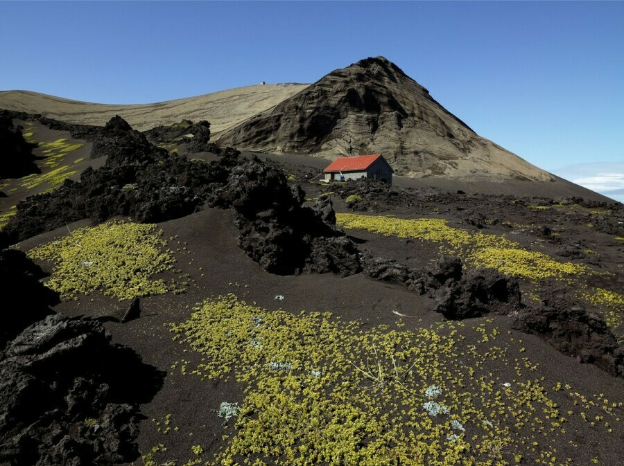 Surtsey - 4