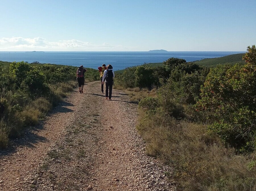 Camino Korčula - 6