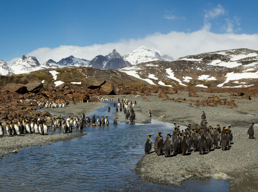 Kerguelen - 1