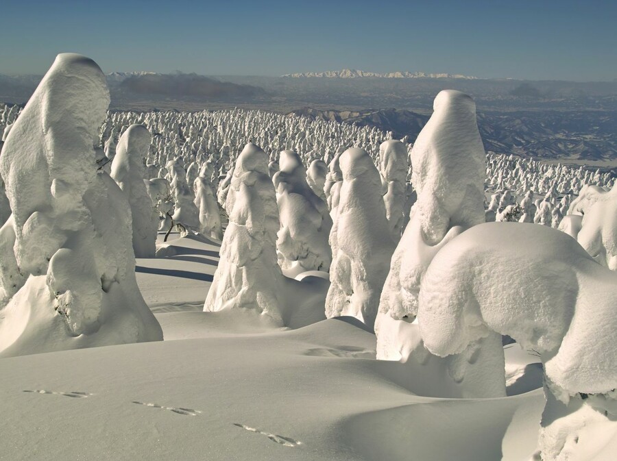 Snježna čudovišta - 7