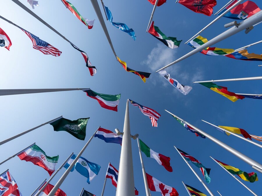 Kviz općeg znanja - 5