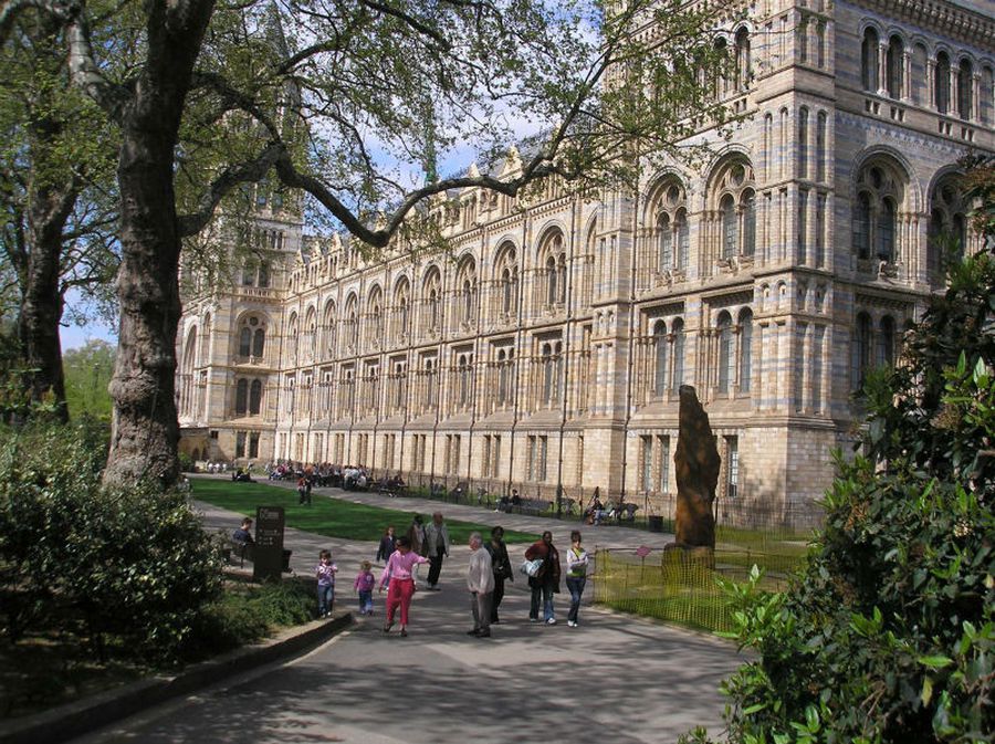 National History Museum - 5
