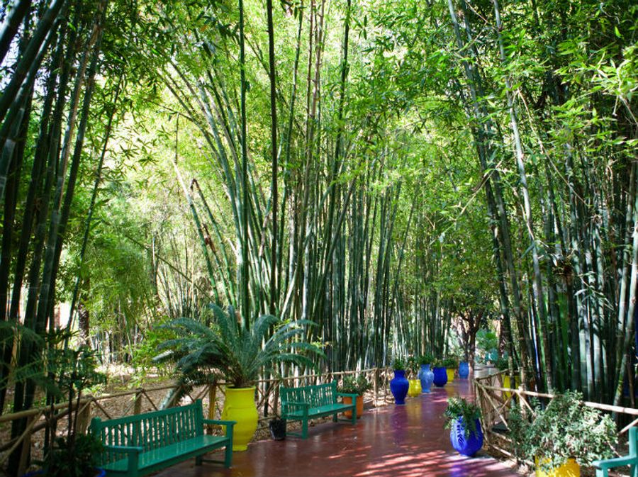 Majorelle vrtovi u Marakešu