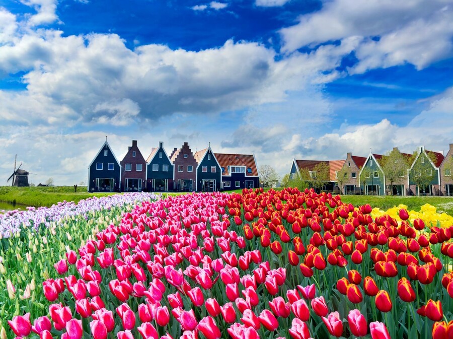 Nizozemska u proljeće - 3