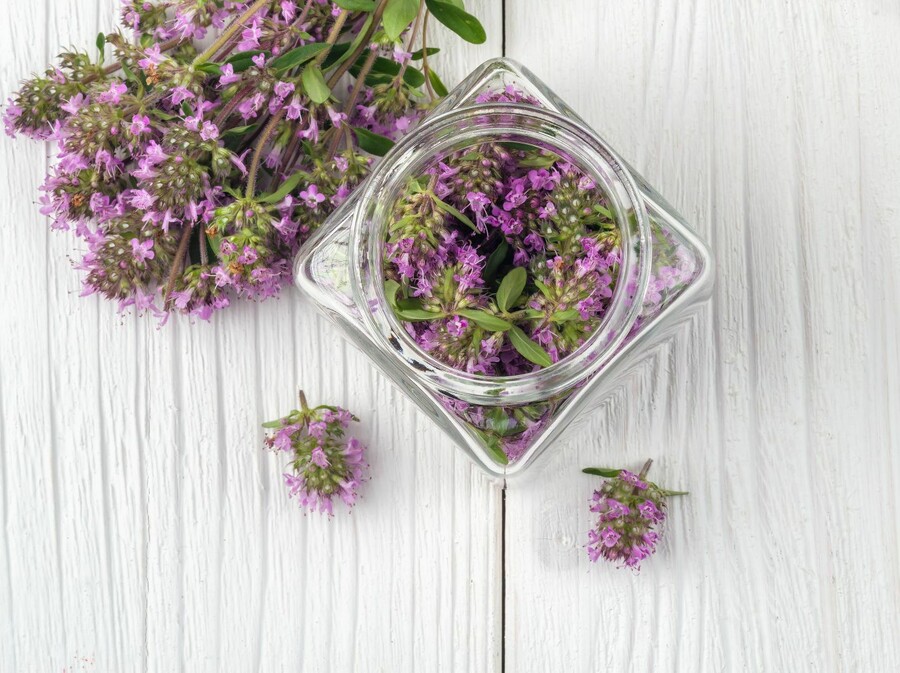 Majčina dušica - 3