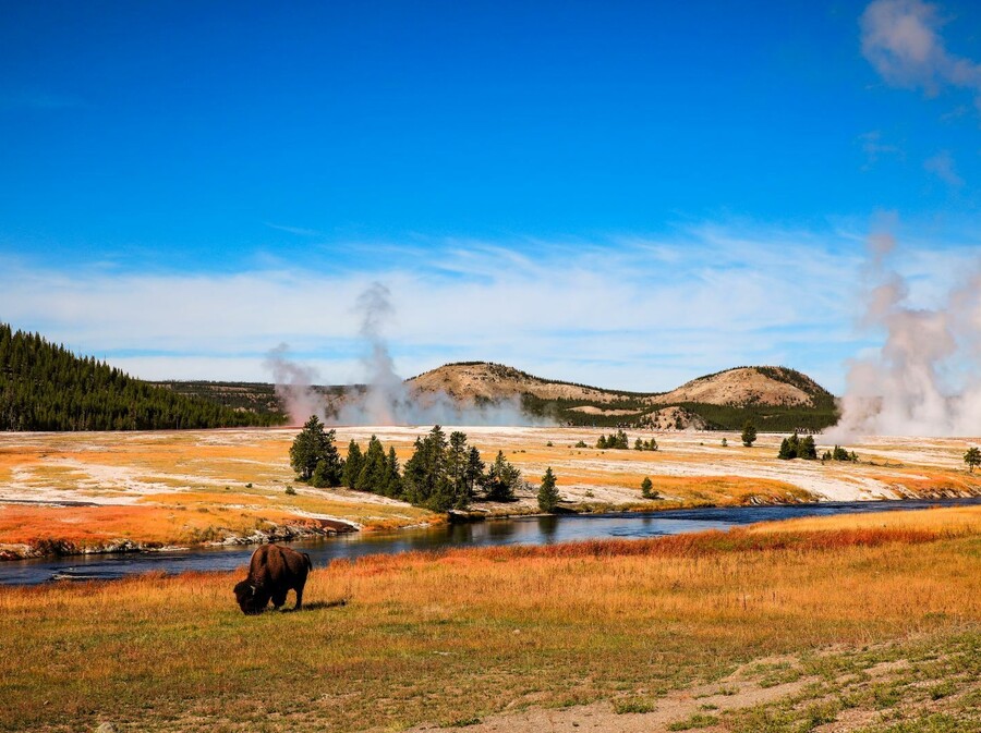Yellowstone - 8