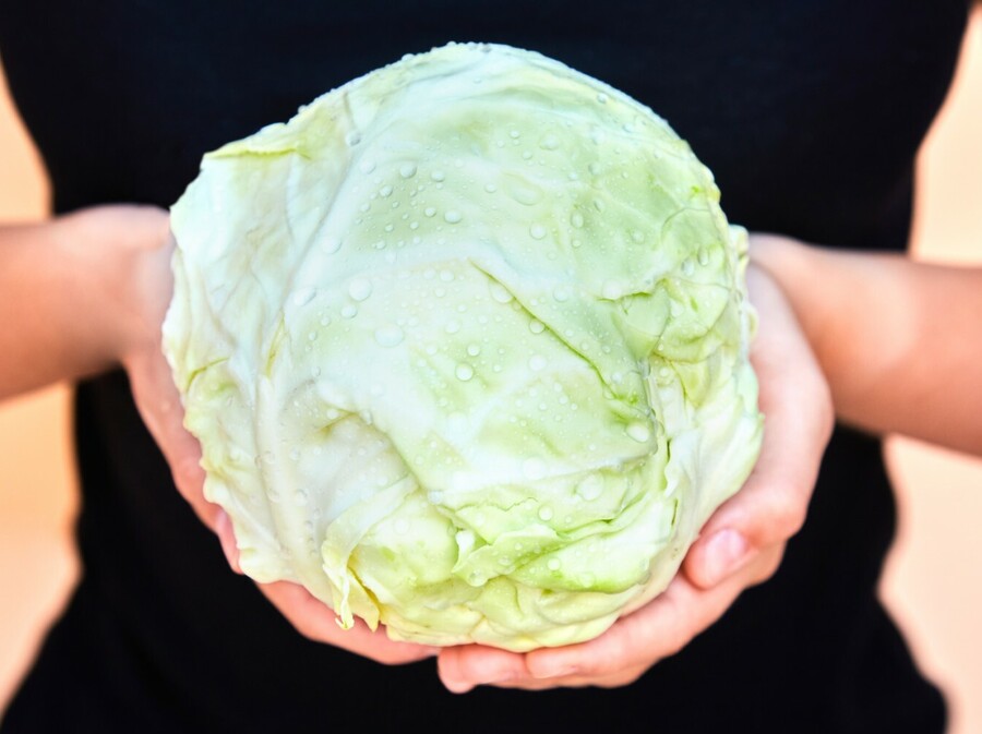 Kako pravilno oprati kupus