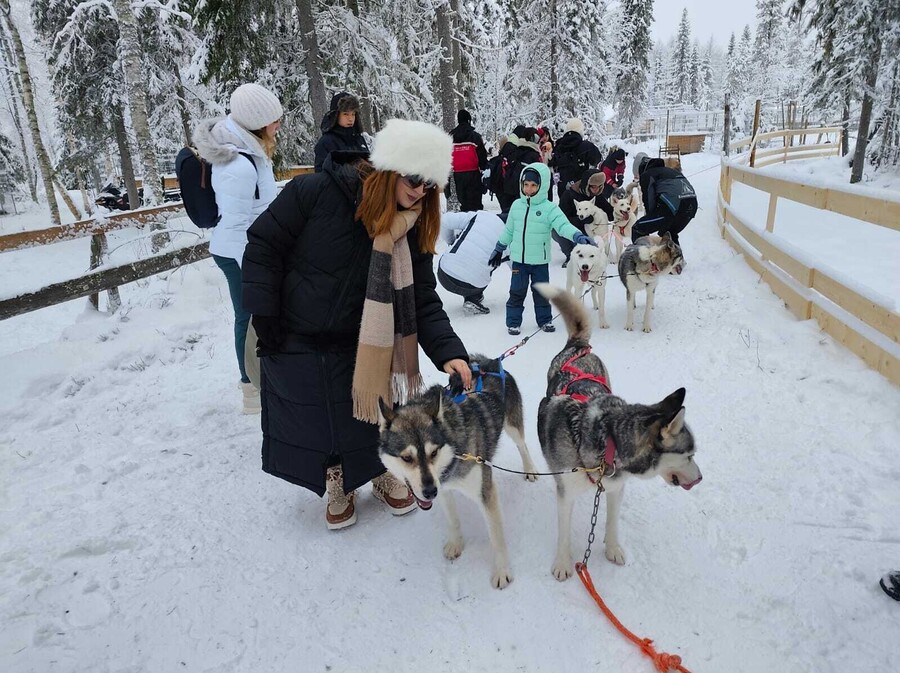 Putovanje u Laponiju - 8