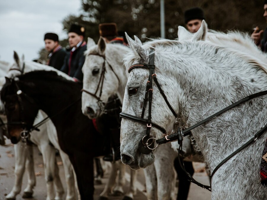 Poklade u Vinkovcima