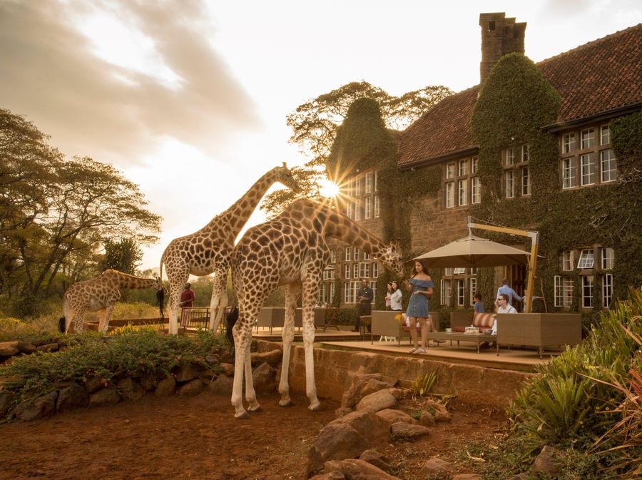 Giraffe manor hotel, Kenija - 2