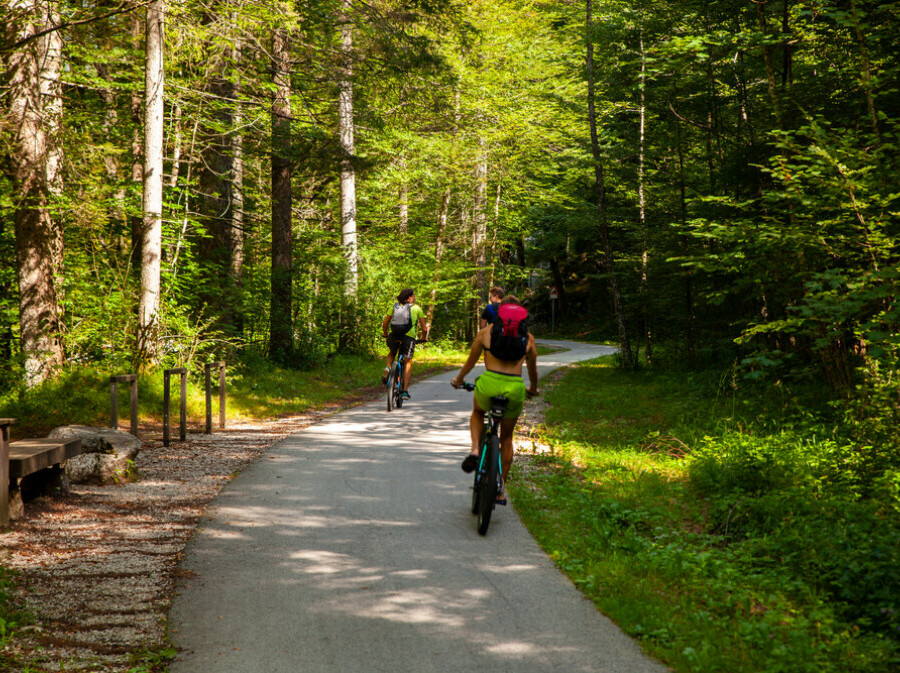 Bohinj - 4