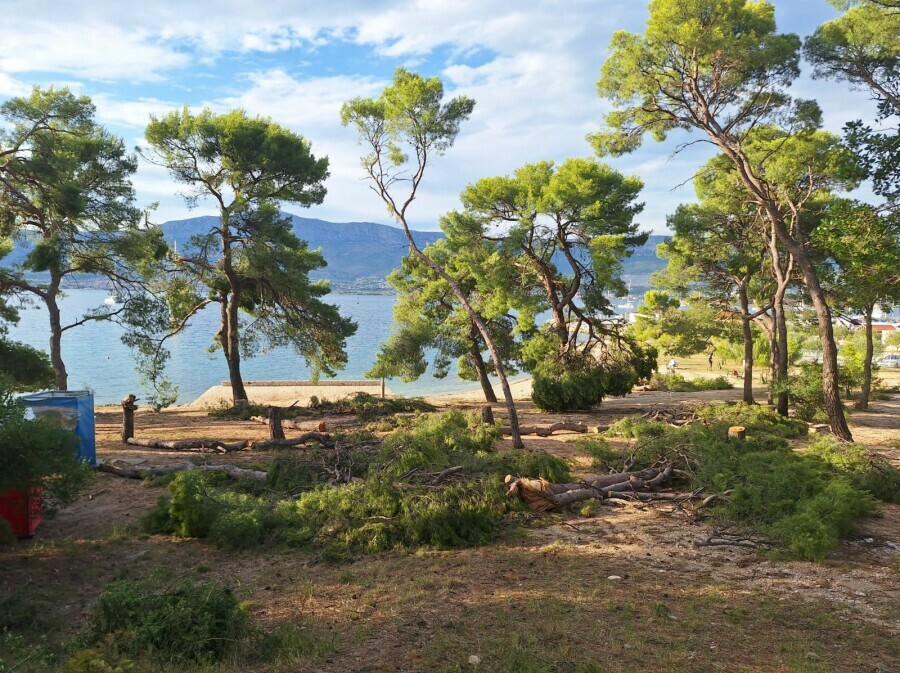 Marjan nakon oluje - 18