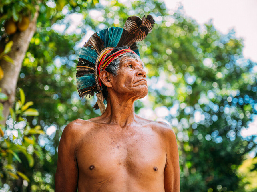 Amazona - 1
