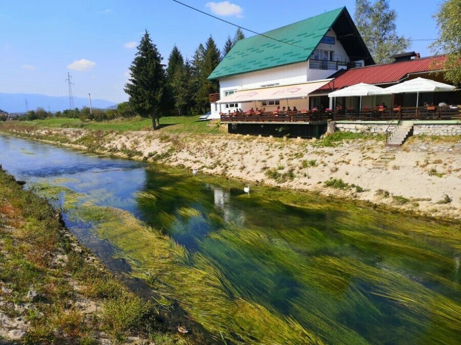 Bistro Ribič - 1