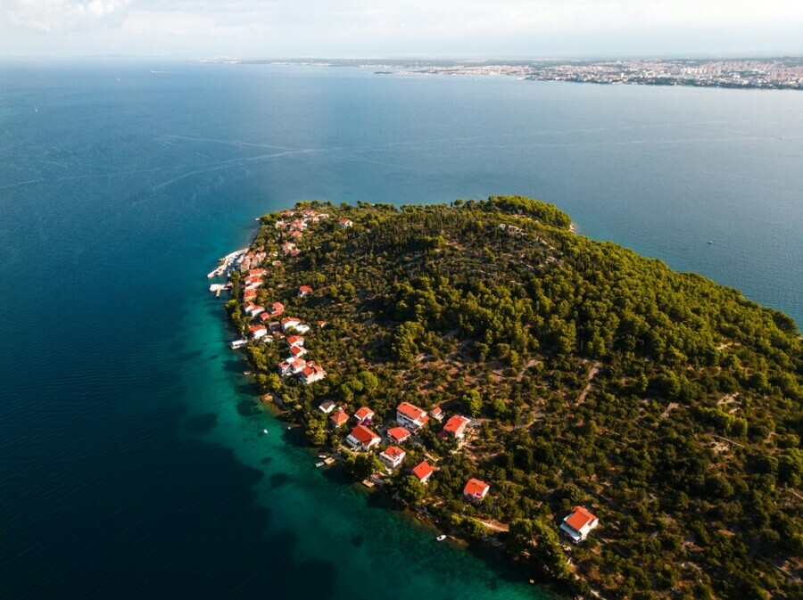Ošljak - 3