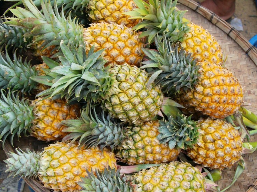 Ananas