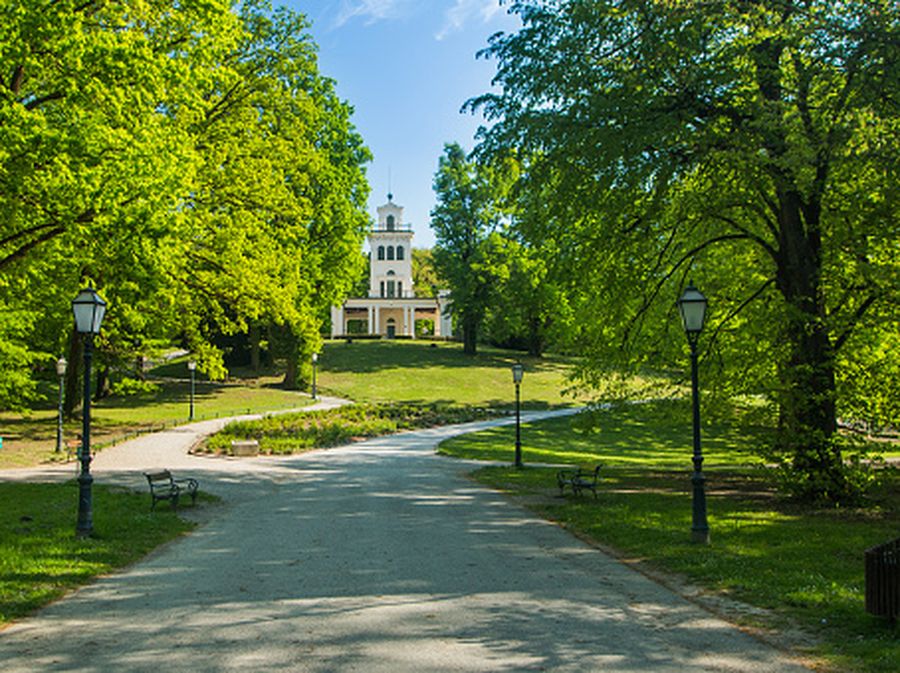 Maksimir