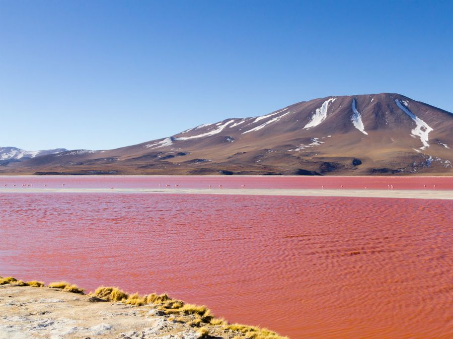 Crvena laguna u Boliviji - 4