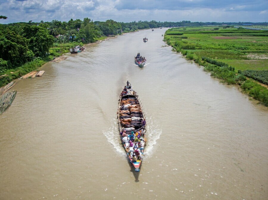 Brodom na stočnu tržnicu, Bangladeš - 4