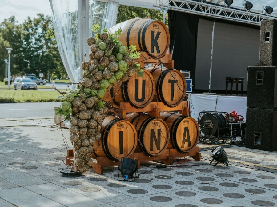 Festival MoslaVina - 4