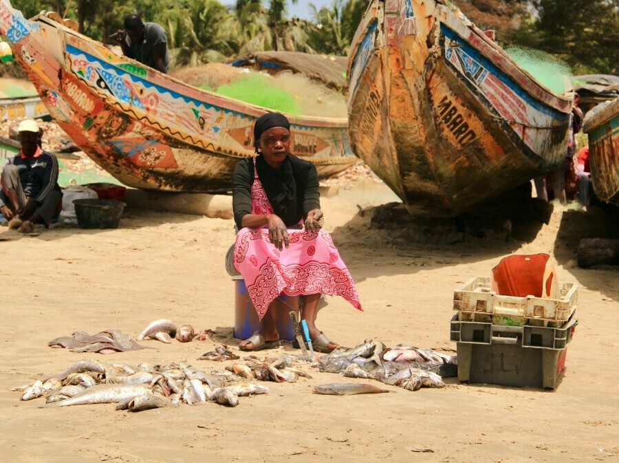 Senegal - 45