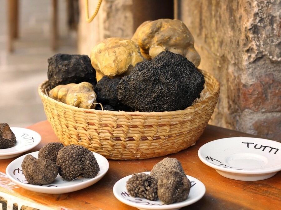 Tartufi