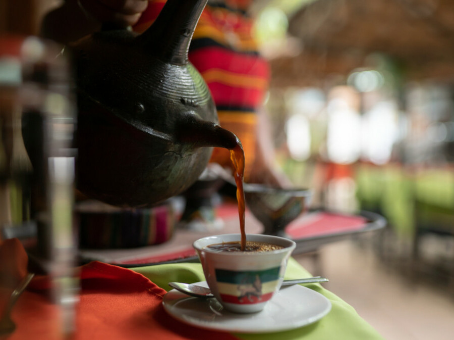 Kava - 1