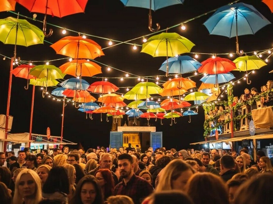 Baš naš festival - 1