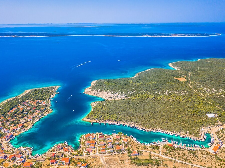 Šimuni