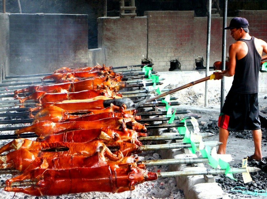 Lechon - 1
