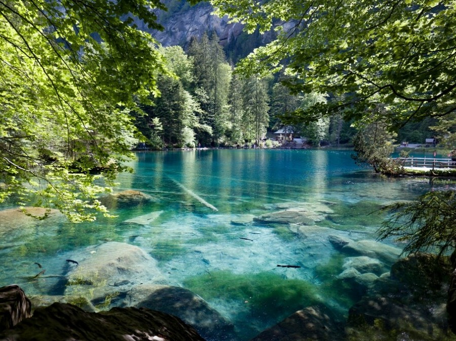 Blausee - 5