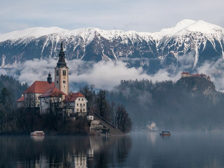 Bled zimi