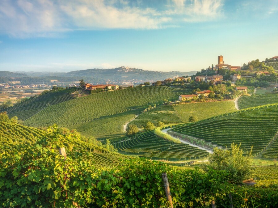 Pijemont je poznata vinorodna regija u Italiji