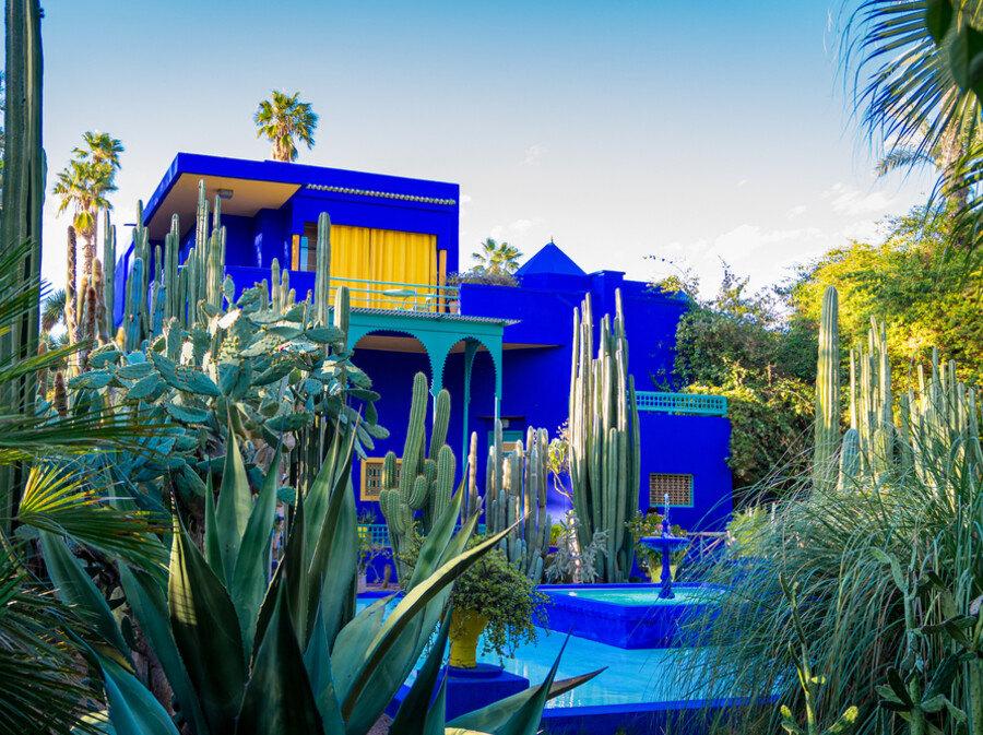 Botanički vrt Majorelle - 5