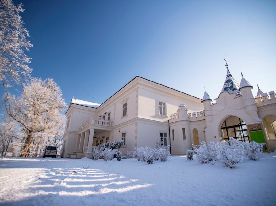 Dvorac Janković, Suhopoljle