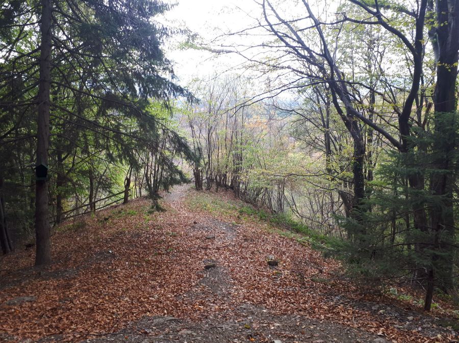 Sljeme - 1