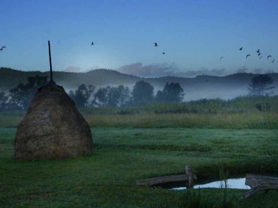 Vineyard Eco Cottage Gruda - 31