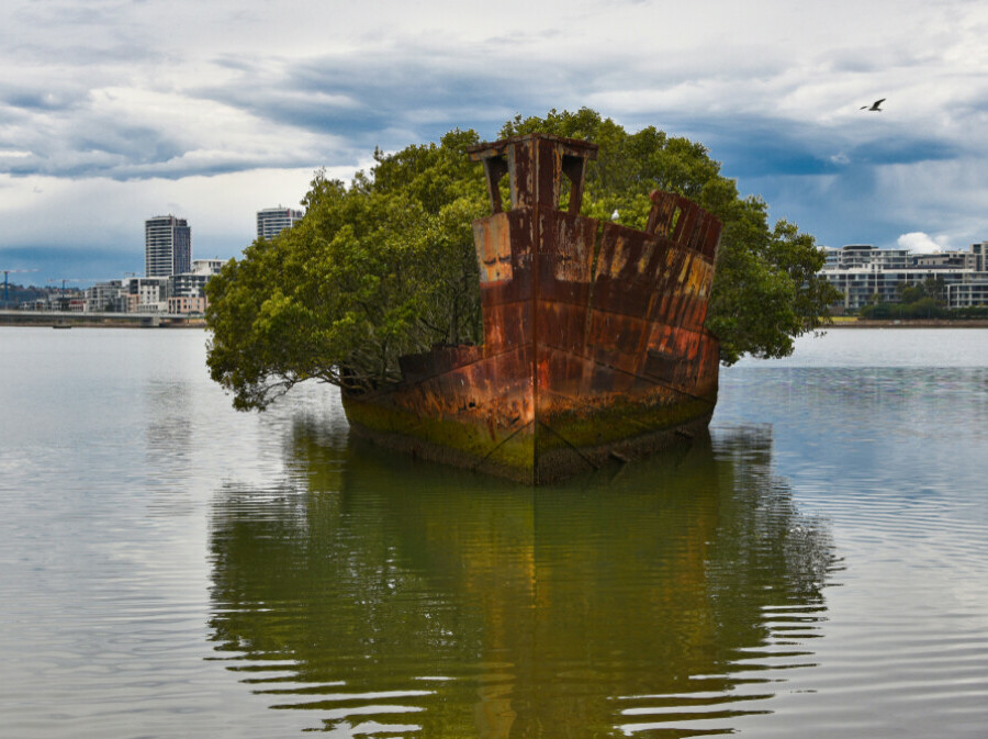 Homebush Bay - 3