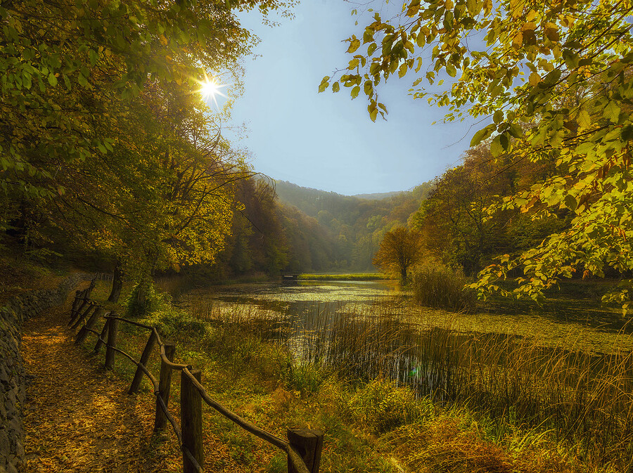 Park-šuma Jankovac
