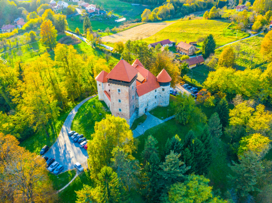 Stari grad Dubovac