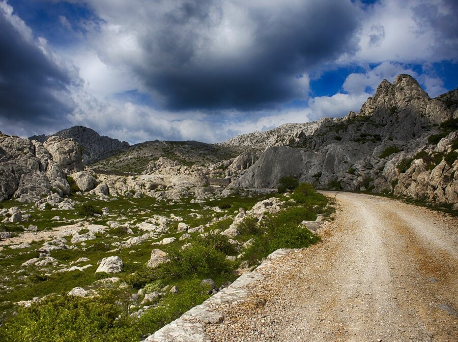 Kviz općeg znanja - 12