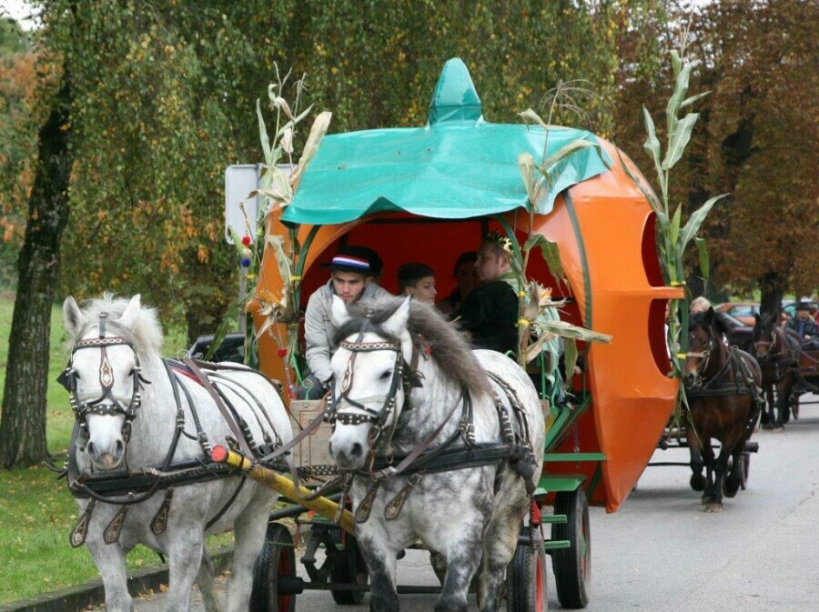 Bučijada - 7