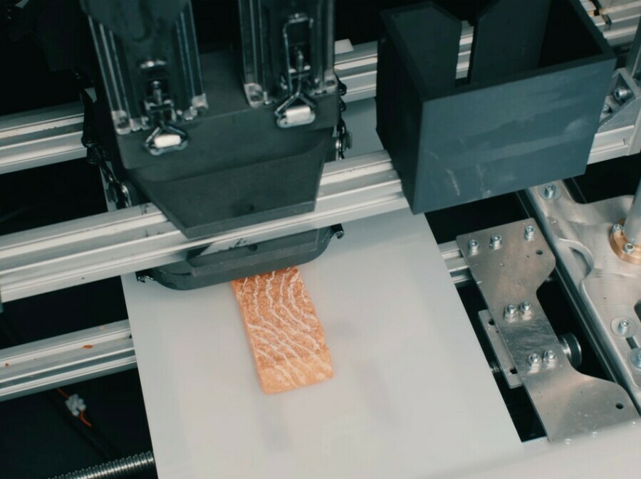 3D ispisana biljna zamjena za losos austrijske tvrtke Revo Foods - 3