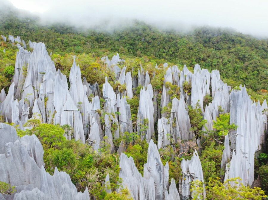 Nacionalni park Gunung Mulu