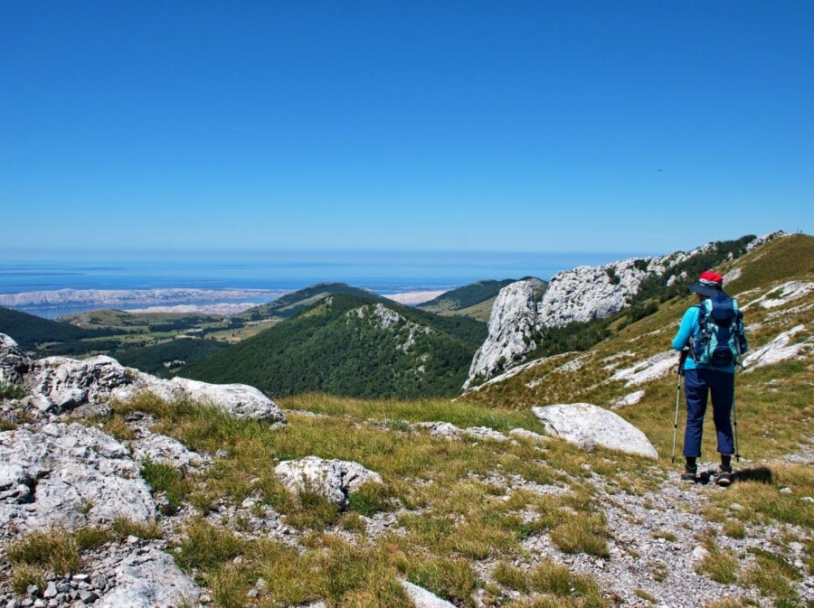 Novi kviz općeg znanja - 10